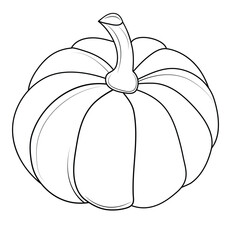 pumpkin on a white background