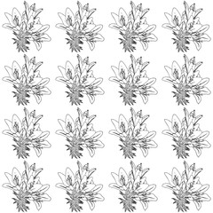 Lily flowers in doodle style. Seamless pattern. Vector illustration.