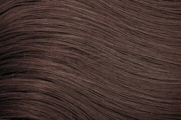 Brown hair close-up as a background. Women's long brown hair. Beautifully styled wavy shiny curls. Hair coloring. Hairdressing procedures, extension.