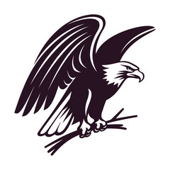 eagle vector illustration