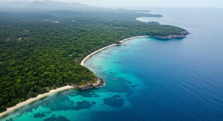 Fototapeta premium A Stunning Aerial View Showcasing the Deep Green Forest Merging with the Vast Blue Sea, Highlighting the Harmony Between Natural Ecosystems and the Importance of Forest Conservation