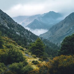 Fototapeta premium Tzoumerka Park's mountain views