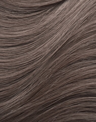 Fototapeta premium Blond hair close-up as a background. Women's long light brown hair. Beautifully styled wavy shiny curls. Hair coloring. Hairdressing procedures, extension.