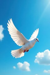 Obraz premium White dove in flight, wings spread wide, azure sky , elegance, dove, soft