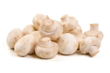 Champignons, close-up, isolated on white background.