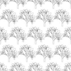 Lily flowers in doodle style. Seamless pattern. Vector illustration.