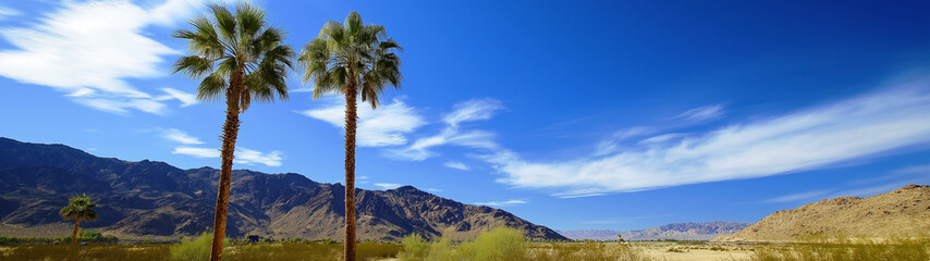 Serene desert landscape with tall palm trees, rugged mountains, and a vibrant blue sky for travel, nature, and tropical getaway themes