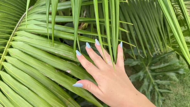 mulher passa m&atilde;o em folhas de palmeira tropical 