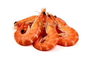 Shrimp. Fresh raw shrimps, isolated on white background.