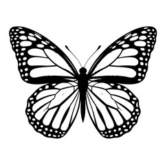 Intricate Butterfly Wings Illustration – Detailed Monarch Art