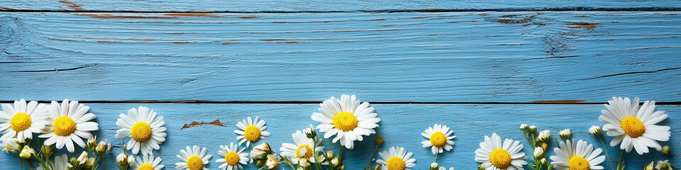 Obraz premium Daisey floral arrangement with a wood background painted blue and copy space