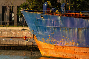 The rusted metal hull of a ship, small micro-organisms adhering to the bottom of the ship,...