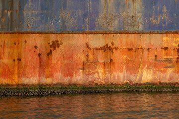 The rusted metal hull of a ship, small micro-organisms adhering to the bottom of the ship,...
