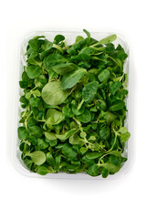 Lambs lettuce, corn salad, isolated on white background.