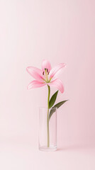 Minimalist floral display with single pink lily stem in glass vase