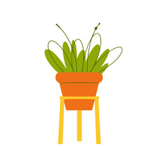 Illustrations Of HousePlants