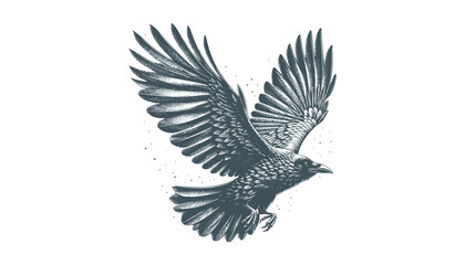 crow vector, raven vector