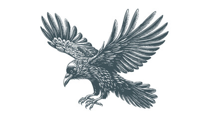 Fototapeta premium crow vector, raven vector