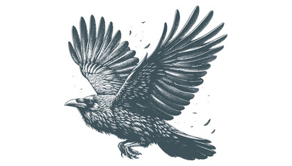 crow vector, raven vector