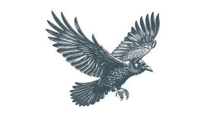crow vector, raven vector