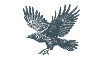 crow vector, raven vector