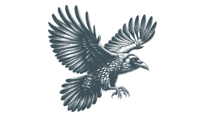 crow vector, raven vector