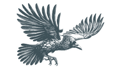 crow vector, raven vector