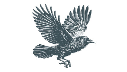 crow vector, raven vector