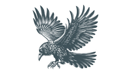 crow vector, raven vector