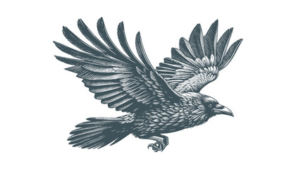 crow vector, raven vector