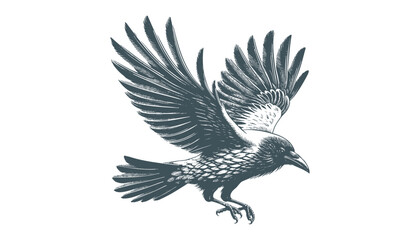 crow vector, raven vector