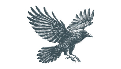 crow vector, raven vector