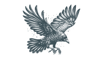 crow vector, raven vector