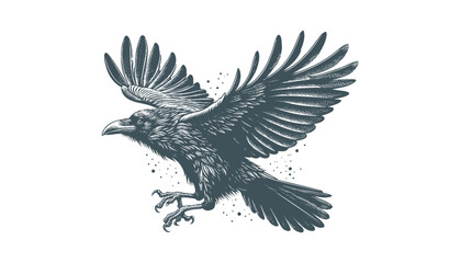 Obraz premium crow vector, raven vector