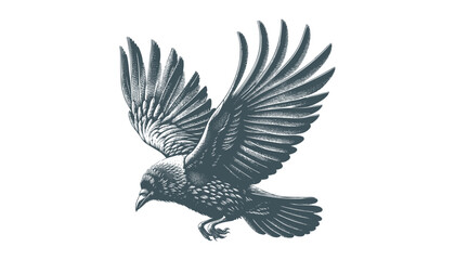 crow vector, raven vector