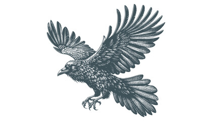 crow vector, raven vector