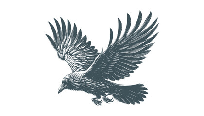 crow vector, raven vector