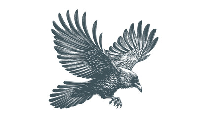 crow vector, raven vector