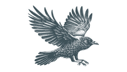 crow vector, raven vector