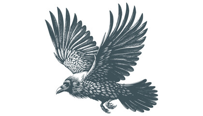 crow vector, raven vector