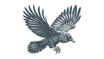 crow vector, raven vector