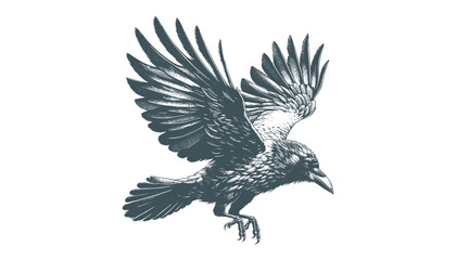 crow vector, raven vector