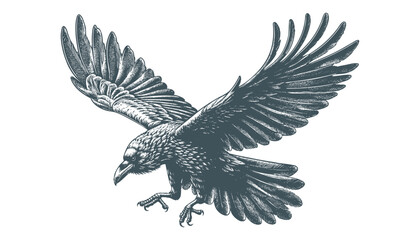 Obraz premium crow vector, raven vector