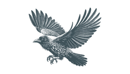 crow vector, raven vector