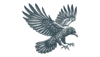 Obraz premium crow vector, raven vector