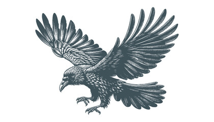 crow vector, raven vector