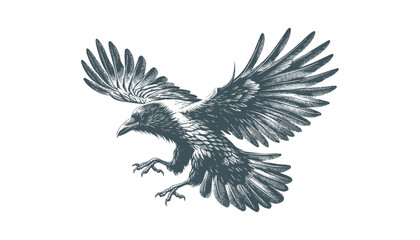 Fototapeta premium crow vector, raven vector