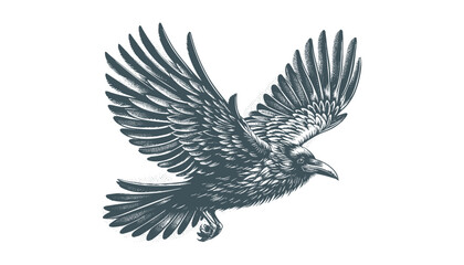 Obraz premium crow vector, raven vector