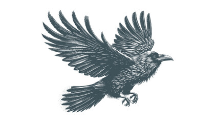crow vector, raven vector