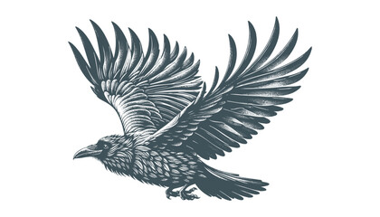 crow vector, raven vector